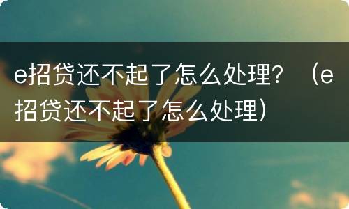 e招贷还不起了怎么处理？（e招贷还不起了怎么处理）