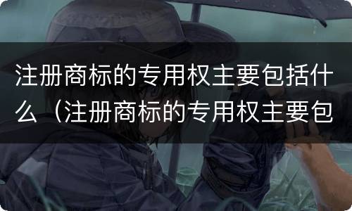 注册商标的专用权主要包括什么（注册商标的专用权主要包括什么类型）