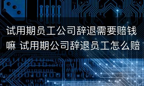 试用期员工公司辞退需要赔钱嘛 试用期公司辞退员工怎么赔偿金
