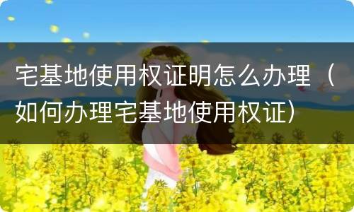 宅基地使用权证明怎么办理（如何办理宅基地使用权证）
