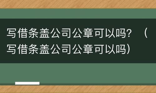 写借条盖公司公章可以吗？（写借条盖公司公章可以吗）
