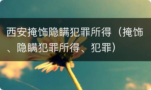 西安掩饰隐瞒犯罪所得（掩饰、隐瞒犯罪所得、犯罪）