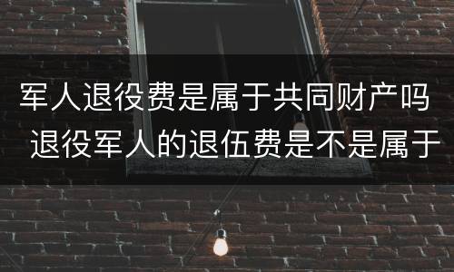 军人退役费是属于共同财产吗 退役军人的退伍费是不是属于个人财产