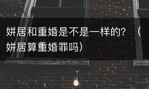 姘居和重婚是不是一样的？（姘居算重婚罪吗）