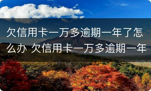 欠信用卡一万多逾期一年了怎么办 欠信用卡一万多逾期一年了怎么办理