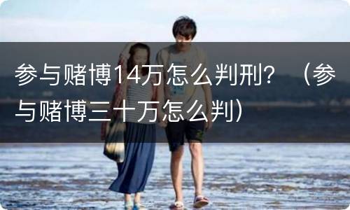 参与赌博14万怎么判刑？（参与赌博三十万怎么判）