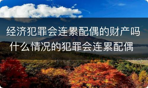 经济犯罪会连累配偶的财产吗 什么情况的犯罪会连累配偶