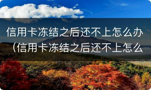 信用卡冻结之后还不上怎么办（信用卡冻结之后还不上怎么办呢）