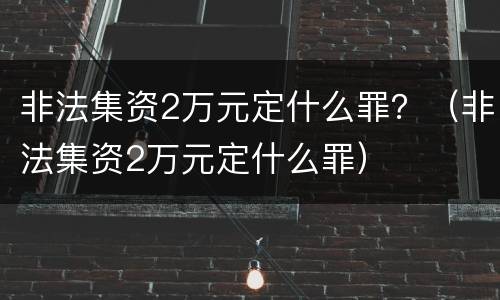 非法集资2万元定什么罪？（非法集资2万元定什么罪）