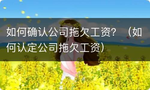 如何确认公司拖欠工资？（如何认定公司拖欠工资）