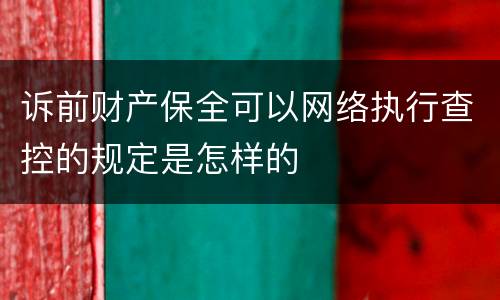 诉前财产保全可以网络执行查控的规定是怎样的