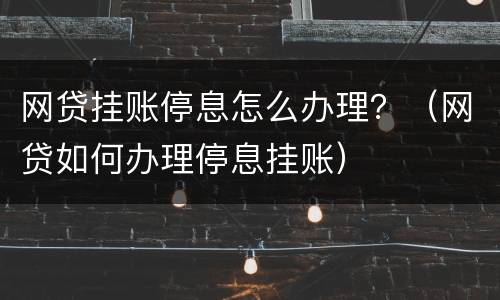 网贷挂账停息怎么办理？（网贷如何办理停息挂账）