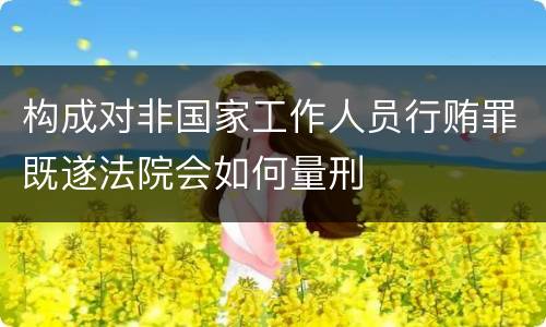 构成对非国家工作人员行贿罪既遂法院会如何量刑