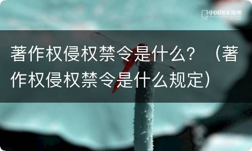 著作权侵权禁令是什么？（著作权侵权禁令是什么规定）
