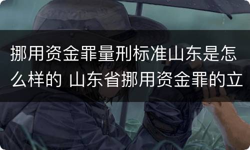 挪用资金罪量刑标准山东是怎么样的 山东省挪用资金罪的立案标准