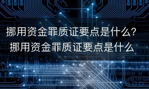 挪用资金罪质证要点是什么？ 挪用资金罪质证要点是什么