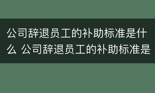 公司辞退员工的补助标准是什么 公司辞退员工的补助标准是什么呢