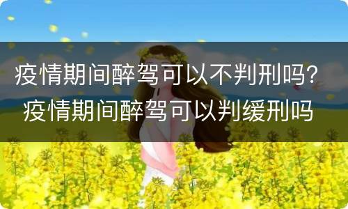 疫情期间醉驾可以不判刑吗？ 疫情期间醉驾可以判缓刑吗