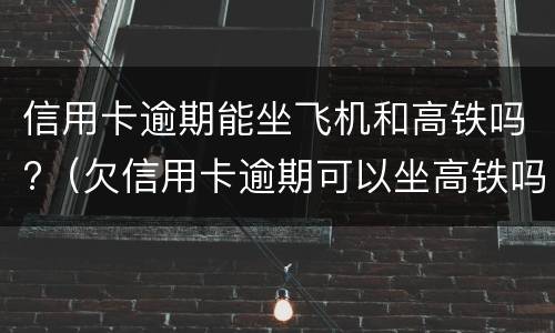 信用卡逾期能坐飞机和高铁吗?（欠信用卡逾期可以坐高铁吗）
