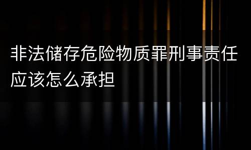 非法储存危险物质罪刑事责任应该怎么承担
