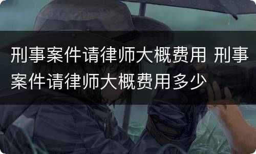 刑事案件请律师大概费用 刑事案件请律师大概费用多少