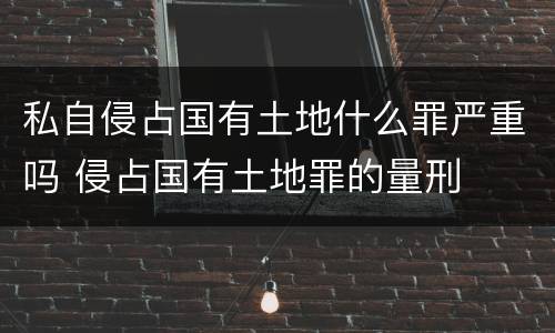 私自侵占国有土地什么罪严重吗 侵占国有土地罪的量刑