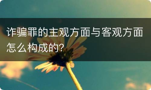 诈骗罪的主观方面与客观方面怎么构成的？