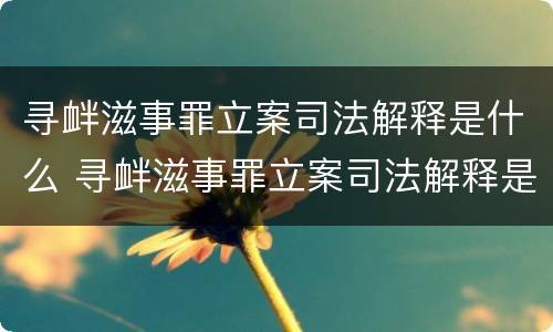 寻衅滋事罪立案司法解释是什么 寻衅滋事罪立案司法解释是什么样的