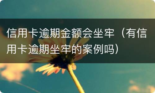 信用卡逾期金额会坐牢（有信用卡逾期坐牢的案例吗）