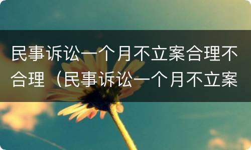 民事诉讼一个月不立案合理不合理（民事诉讼一个月不立案合理不合理怎么办?）