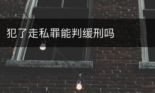犯了走私罪能判缓刑吗