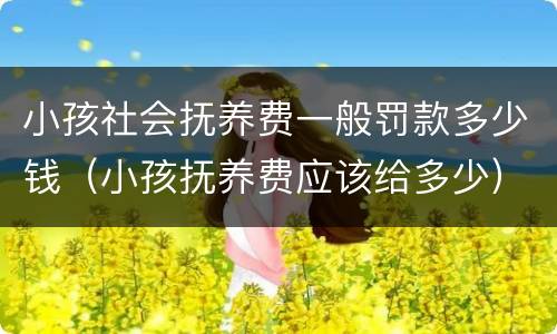 小孩社会抚养费一般罚款多少钱（小孩抚养费应该给多少）