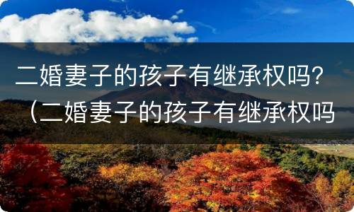 二婚妻子的孩子有继承权吗？（二婚妻子的孩子有继承权吗知乎）