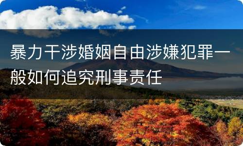 暴力干涉婚姻自由涉嫌犯罪一般如何追究刑事责任