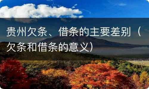 贵州欠条、借条的主要差别（欠条和借条的意义）