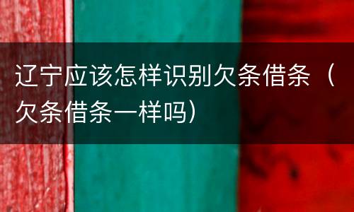 辽宁应该怎样识别欠条借条（欠条借条一样吗）
