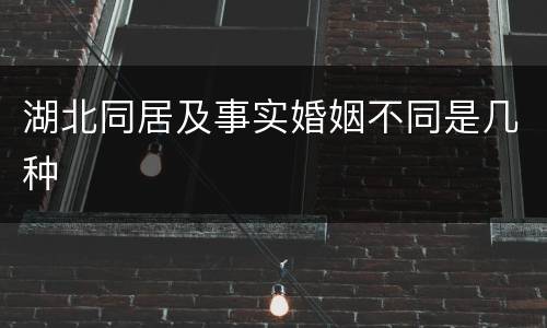 湖北同居及事实婚姻不同是几种