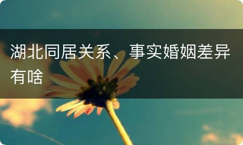 湖北同居关系、事实婚姻差异有啥