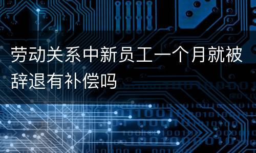 劳动关系中新员工一个月就被辞退有补偿吗