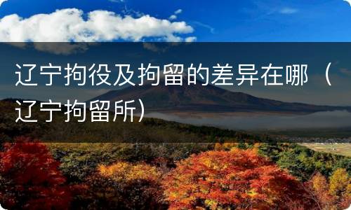 辽宁拘役及拘留的差异在哪（辽宁拘留所）