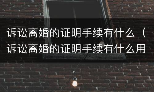 诉讼离婚的证明手续有什么（诉讼离婚的证明手续有什么用）