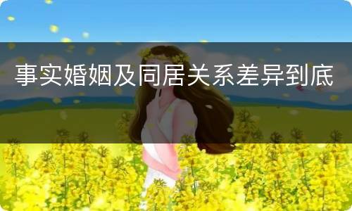 事实婚姻及同居关系差异到底