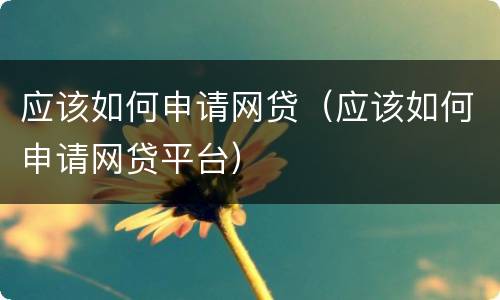应该如何申请网贷（应该如何申请网贷平台）