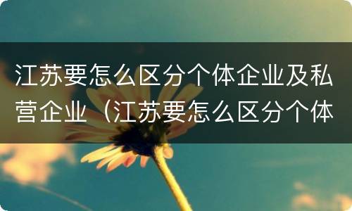江苏要怎么区分个体企业及私营企业（江苏要怎么区分个体企业及私营企业的区别）