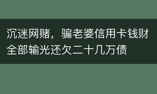 沉迷网赌，骗老婆信用卡钱财全部输光还欠二十几万债