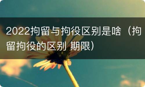 2022拘留与拘役区别是啥（拘留拘役的区别 期限）