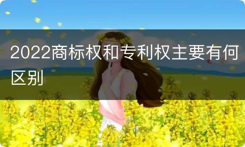 2022商标权和专利权主要有何区别
