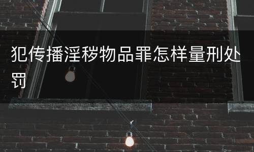 犯传播淫秽物品罪怎样量刑处罚