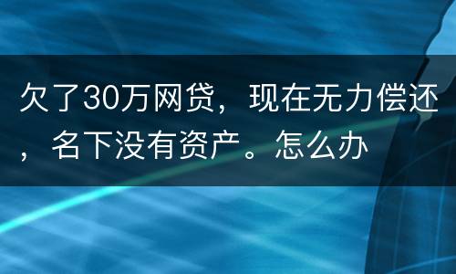 欠了30万网贷，现在无力偿还，名下没有资产。怎么办