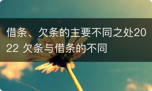 借条、欠条的主要不同之处2022 欠条与借条的不同